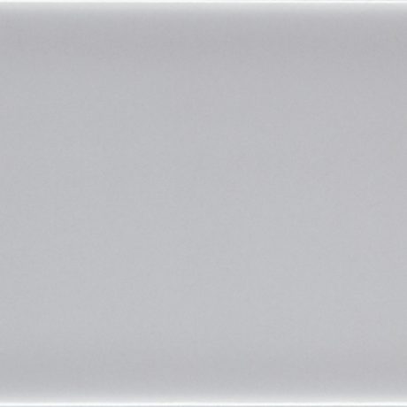 Accent Slate Grey 10x20cm